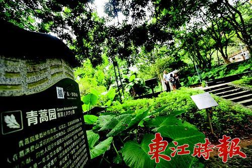     ���޸�ɽ�羰��ʤ���������Ŷ���Ұ���в�ҩ��������ʱ���������ҵ ��
